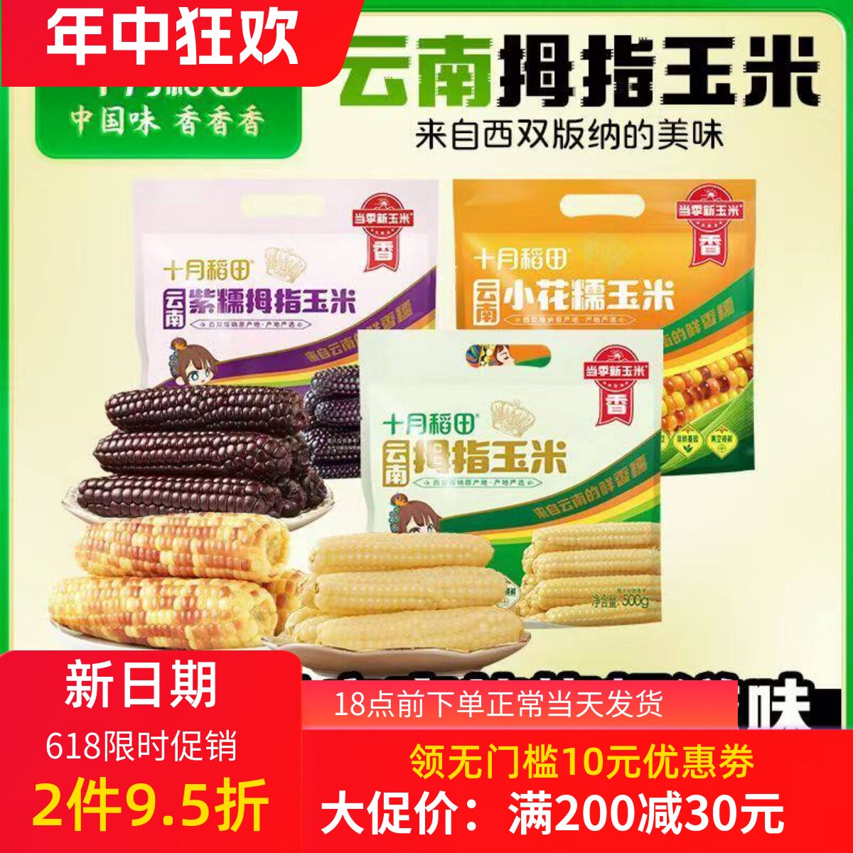 十月稻田西双版纳香糯拇指玉米