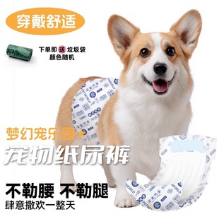 公狗用纸尿裤宠物尿不湿泰迪小狗狗生理裤防乱尿比熊礼貌带内裤