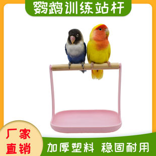 鹦鹉站架桌面鸟架子伯劳虎皮站杆牡丹玄凤小型鸟站架跨境用品