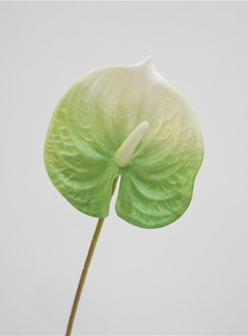 仿真花3D打印小红掌家居婚庆摄影软装工程装饰花艺术插花摆件