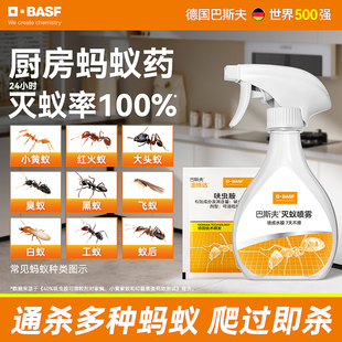 巴斯夫厨房用灭杀蚂蚁药呋虫胺喷雾剂家用室内一锅非无毒非全窝端