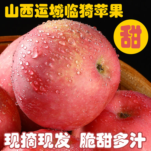 山西运城临猗红富士苹果新鲜顺丰