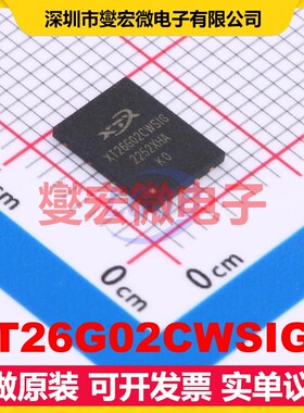 XT26G02CWSIGA WSON-8 2Gbit NAND FLASH存储器芯片IC