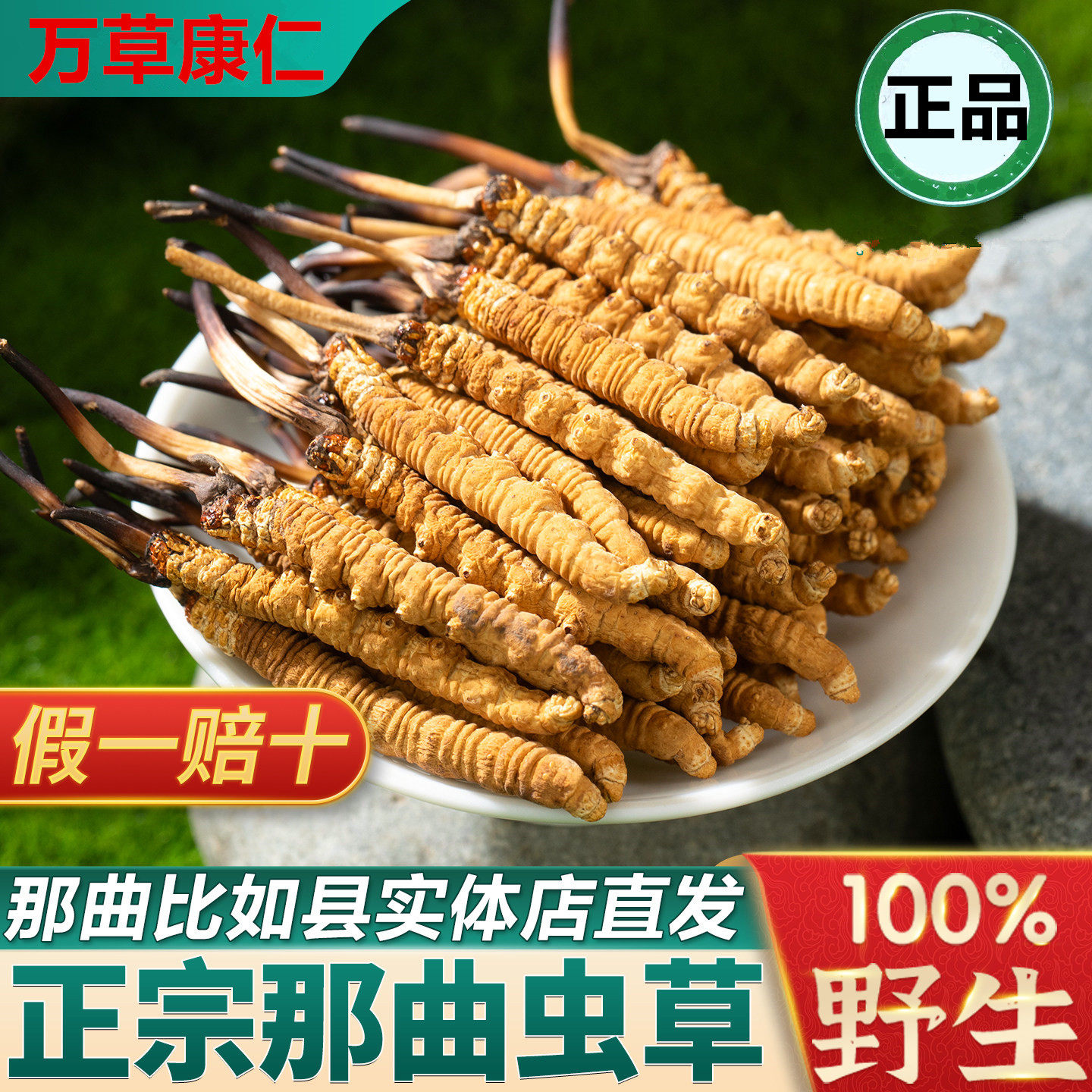 【年货礼盒】西藏那曲冬虫夏草官方旗舰店10克头期九芝泰康茶野生