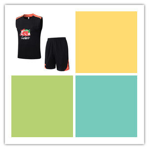 thumbnail for 2026 B.Razi Vest Tracksuit 【Id:4261040921】S-2Xl