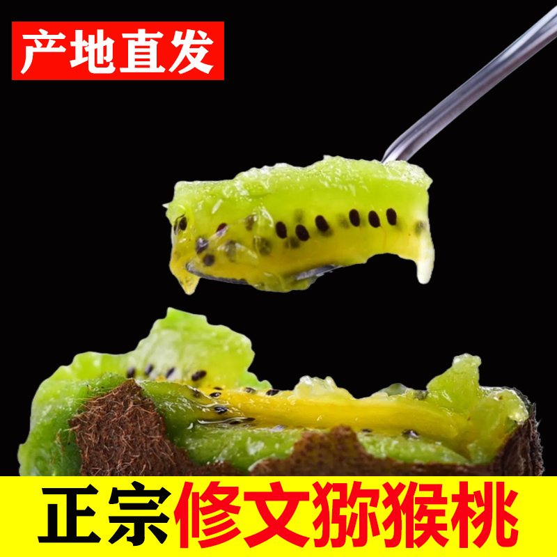 贵州修文猕猴桃地标产品贵长绿心