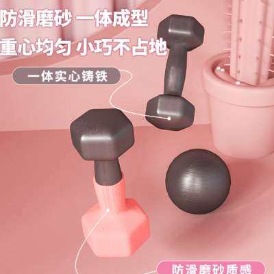 伽梵哑铃女士健身家用套装组合居家健身器材儿童实心铁浸塑小哑铃