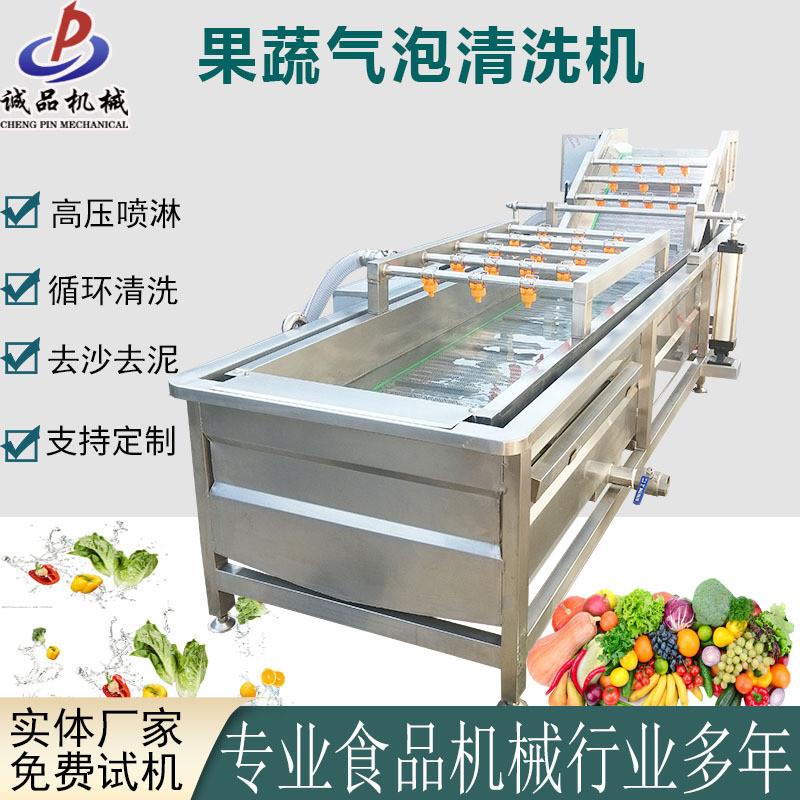 蓝莓气泡清洗机辣椒西红柿蔬菜喷淋洗菜机小香葱大姜清洗风干线