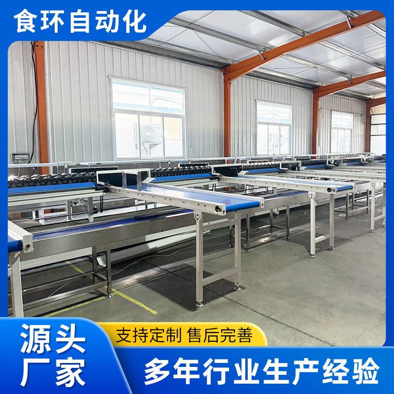 牛油果水果分选机选果机 苹果秋月梨托盘式重量分选机 电脑选果机