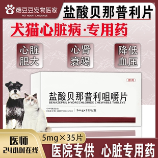 盐酸贝那普利咀嚼片宠物狗狗猫咪慢性肾衰心肥厚性心脏病降压药F5