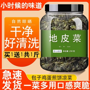 现货地皮菜农家土特产地衣非免洗无沙野生地衣木耳雷公菌新鲜特级