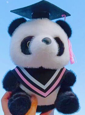 新款硕士博士服熊猫毛绒玩具毕业熊公仔布娃娃玩偶送同学毕业礼物