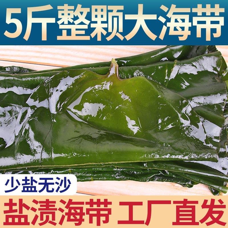 源头工厂直发荣成海带新鲜