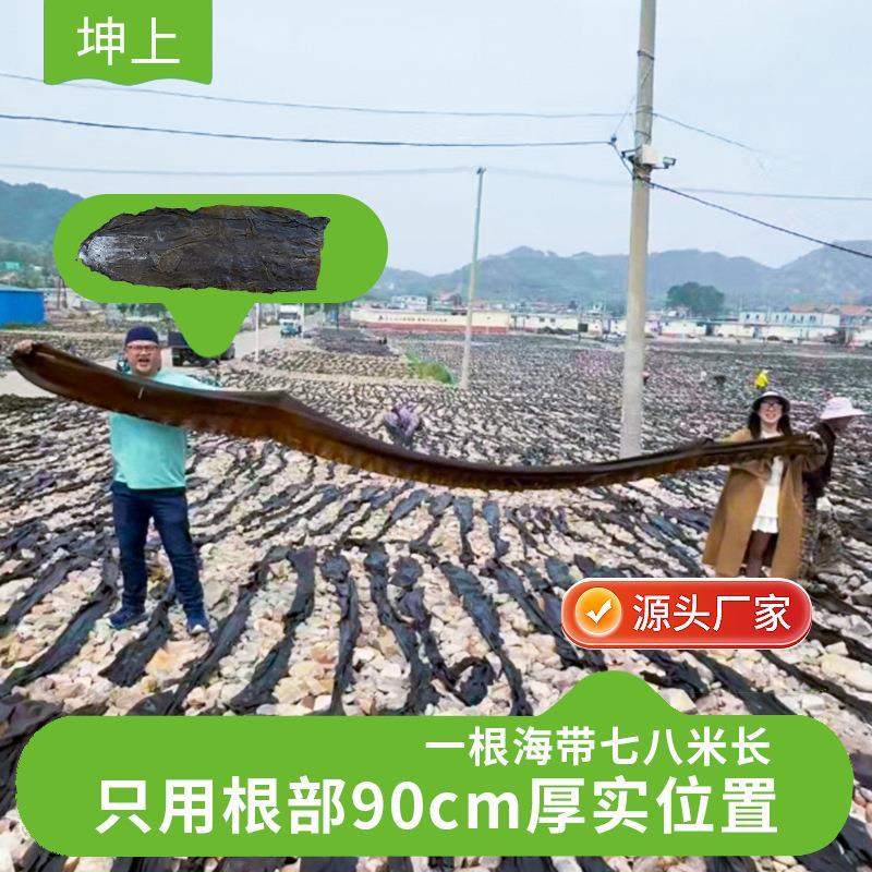 厂家商用有机干海带板货特