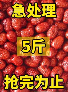2025红枣新疆特级和田大枣特大无核一级优质大枣子干果特产1斤