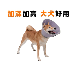 HiDREAM伊丽莎白圈狗猫咪耻辱圈大型犬头罩防舔加深绝育狗狗头套