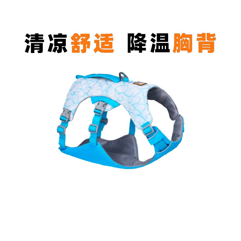 凉凉胸背西高地防暑降温拉夫威尔图片