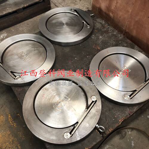 1.4529带定位止回阀H74F/X-10P DN250对夹止回阀 圆片式  单瓣薄