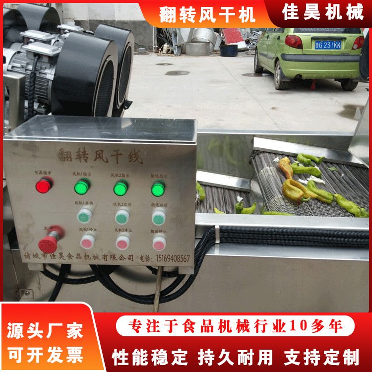 气泡清洗机流水线 果蔬清洗生产线 商用牛肉加工风干机器