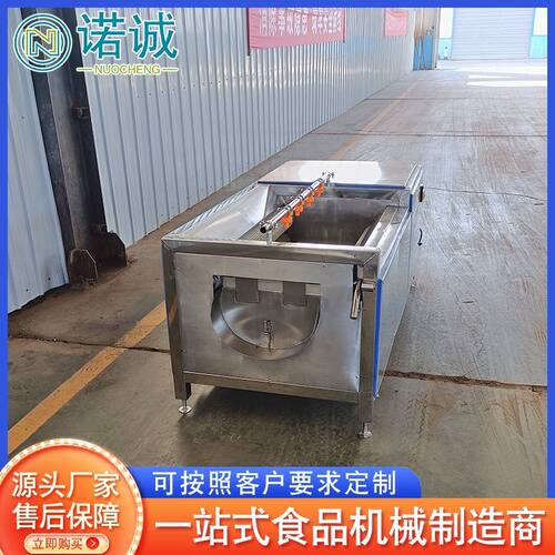 根茎蔬菜毛辊清洗机 扇贝波浪毛辊清洗机 萝卜去皮清洗机设备