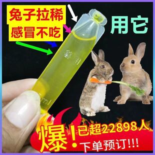 养兔子常备药兔病预防药兔专家兔瘟精神不振厌食驱虫药兔兔用品