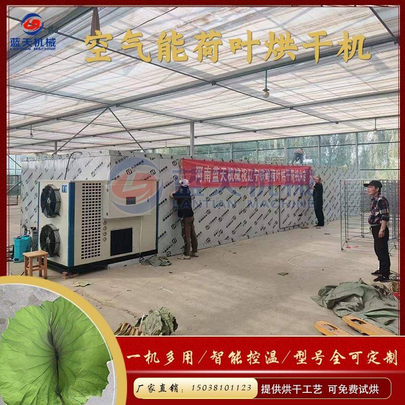 空气能荷叶烘干机 热风循环荷叶茶烘干箱 大型整张荷叶藕叶烘干机