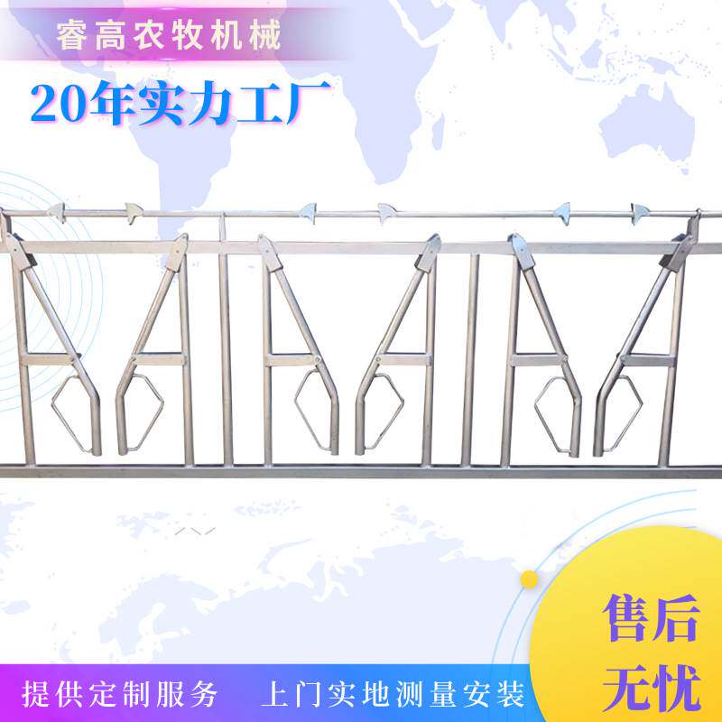 奶牛场专用大角牛用双开牛颈枷尺寸6米8位自锁式牛颈夹牛脖夹