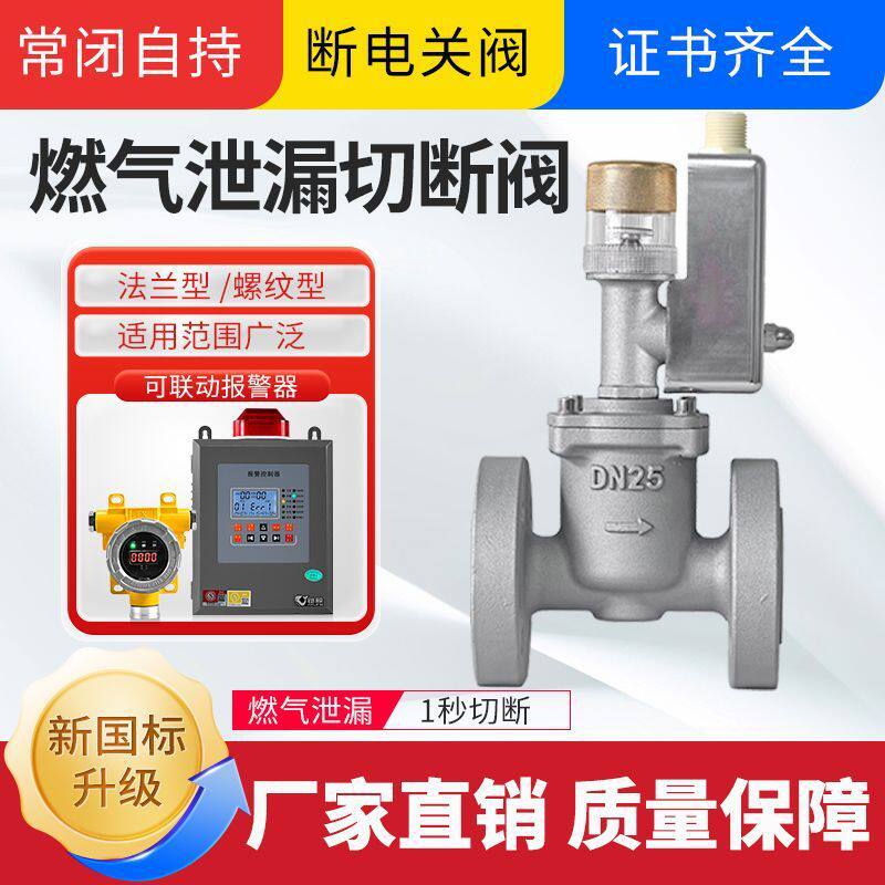 工业商用天然气切断阀燃气报警器自动切断阀防爆电磁阀DN15 20 25
