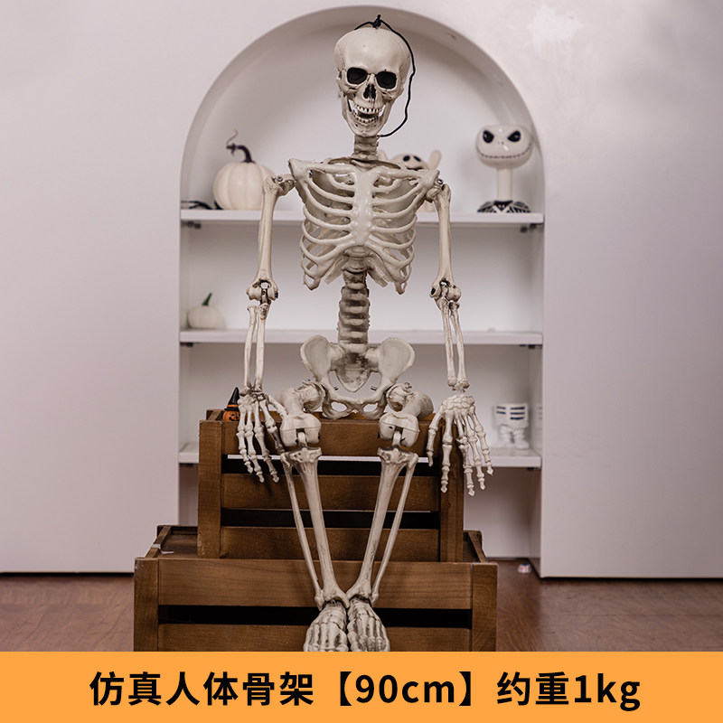Realistic Skeleton Halloween Scene Prop
