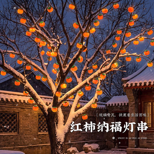 新年彩灯串灯装饰氛围灯带2026新款春节过年农村挂树柿子灯笼灯串