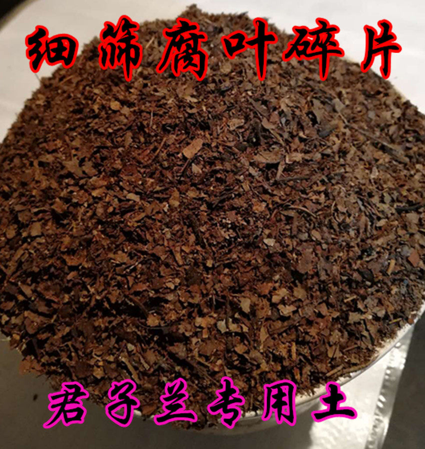 通用纯橡树叶腐殖土腐叶土兰花君子兰专用橡叶种植酸性营养土肥料