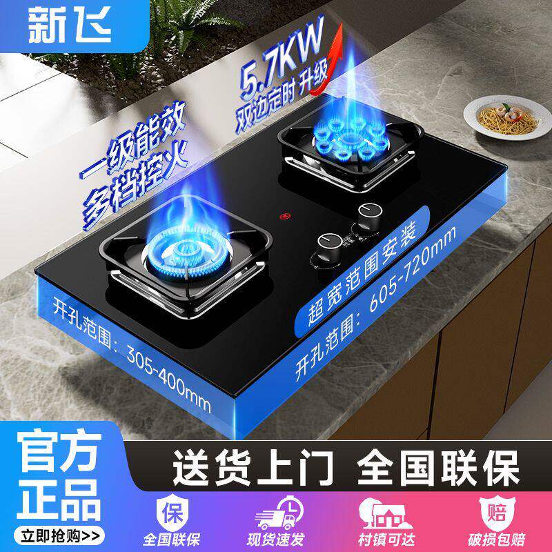 新飞燃气灶煤家用天然液