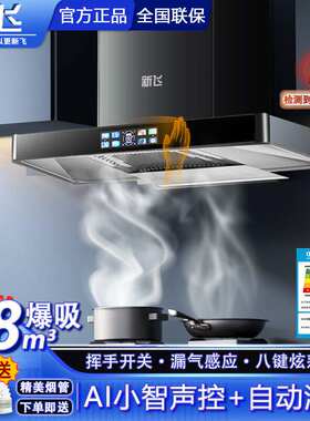 新飞家用抽油烟机厨房小
