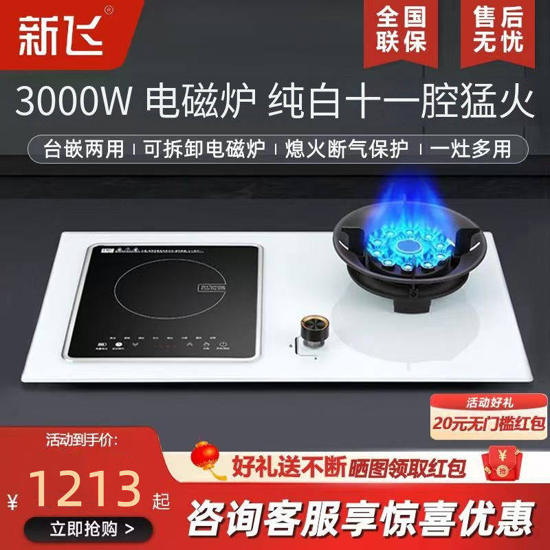 新飞白色气电两用瓦斯炉