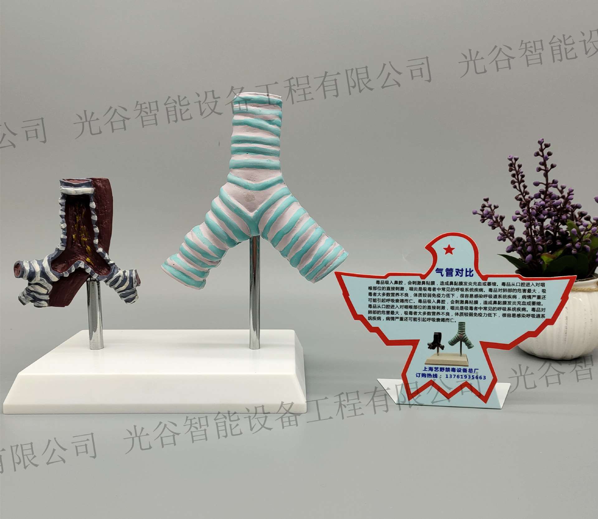 禁毒样品套盒 禁毒宣传模型套装