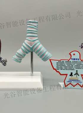 禁毒样品套盒 禁毒宣传模型套装