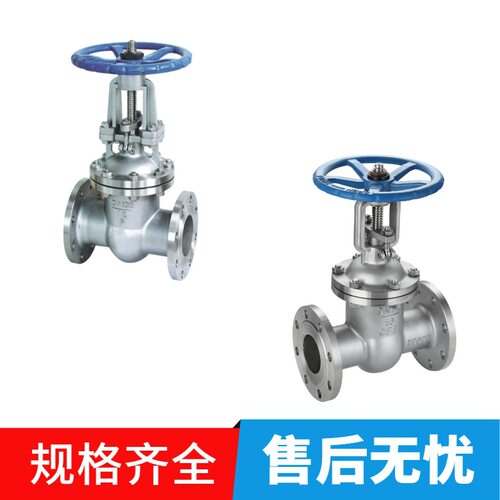 Z41W-10P 316L不锈钢法兰闸阀DN50 DN65 DN80 DN100 DN125-DN350