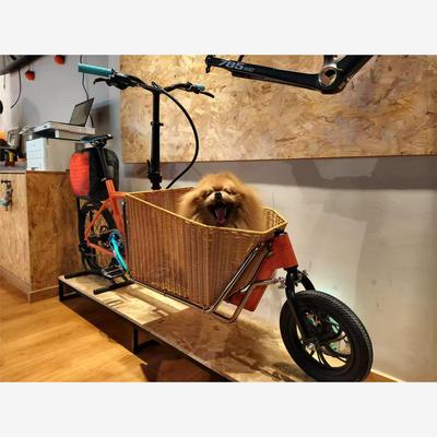 cargobike咔咕全能自行