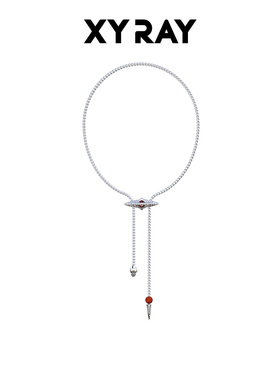 XYRAY灵蛇项链女轻奢小众ins生肖明星同款项链蛇年新款衬衫毛衣链