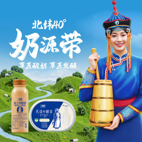 兰格格天边额吉原味酸奶200g*8+熟酸奶210g*4低温酸奶整箱
