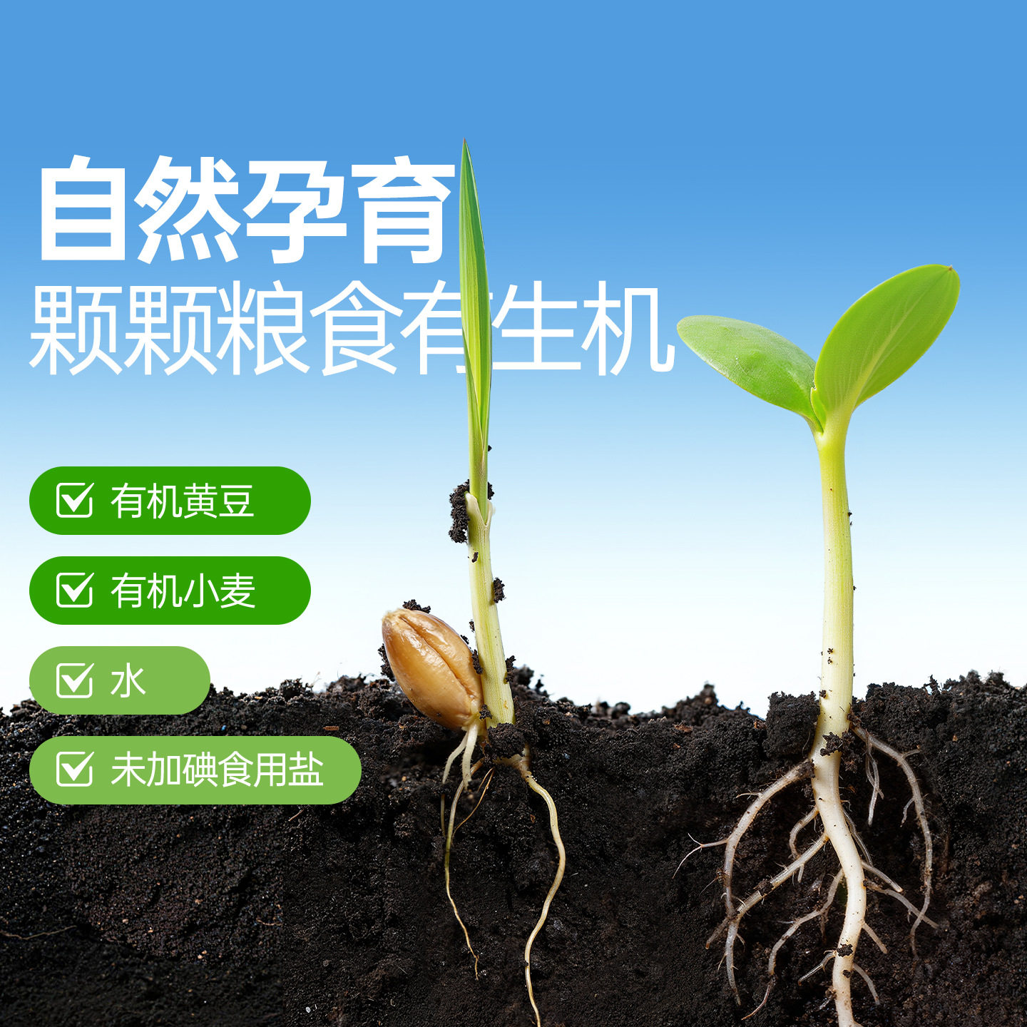【千禾有机】有机酱油500ml 酿造调味品