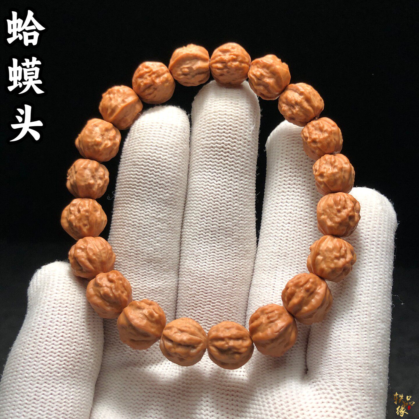 小蛤蟆头核桃精品猴头手串高端小尺寸金蟾手链男士款蟾王蟾宗单圈