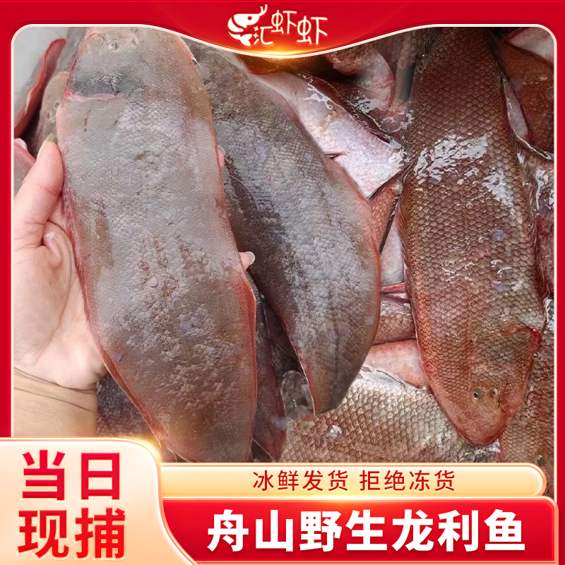 舟山野生真正龙利鱼新鲜冷冻大舌鳎鱼特大玉秃鱼护眼鱼非巴沙鱼片