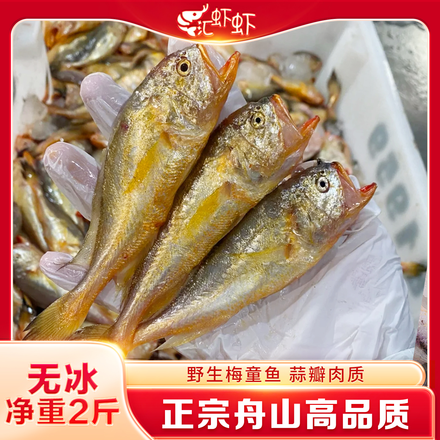 【净重】舟山梅童鱼顺丰发货