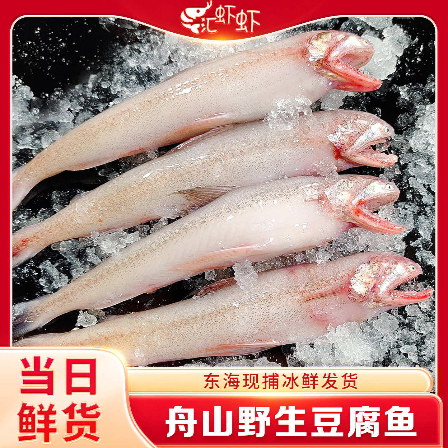 舟山龙头鱼新鲜豆腐鱼海鲜鲜活冰鲜九肚鱼生鲜水潺开鱼季第一口鲜