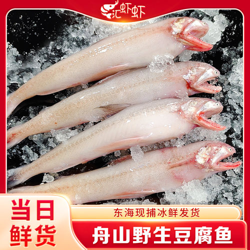 舟山龙头鱼冰鲜发货当天捕捞