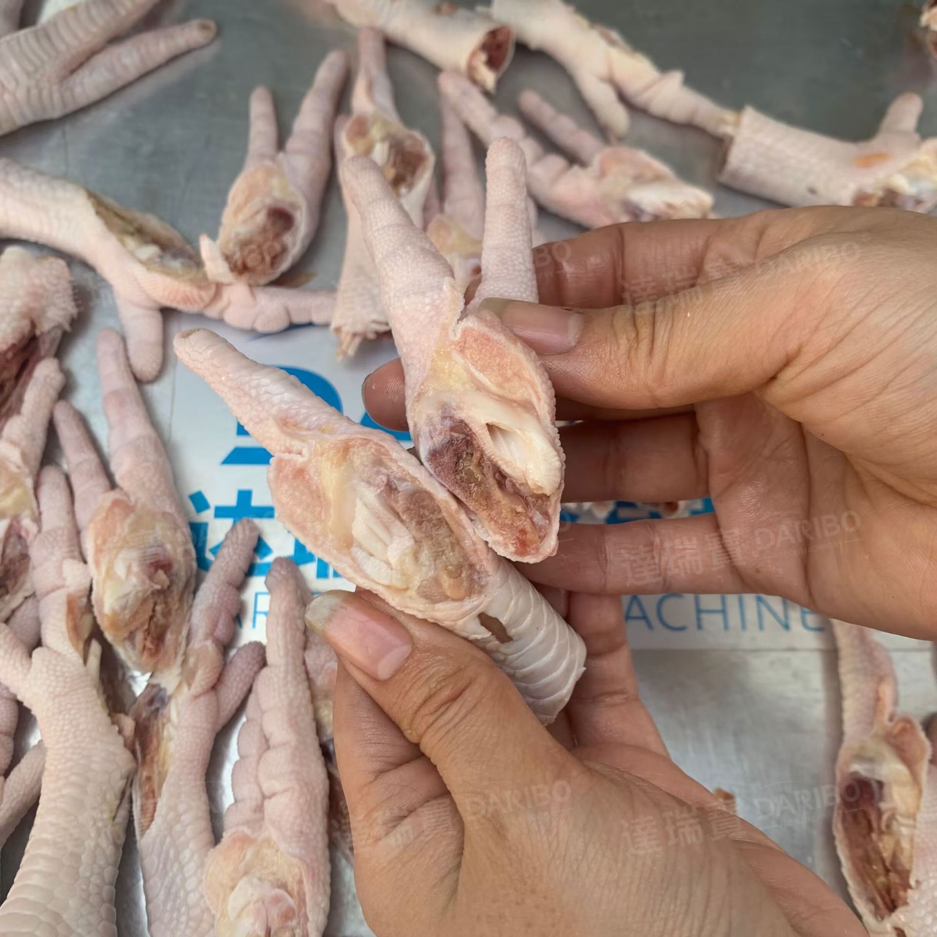 W泡椒凤爪劈半机切割分半设备 食品厂加工鸡脆骨鸭锁骨鸭脖切段机
