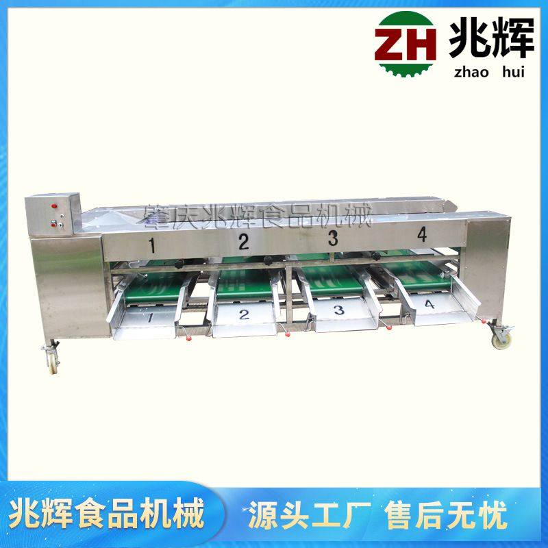 厂家直供土豆螺杆分选机 洋葱果蔬分选机 滚杠大小分拣机不伤果,清洗/食品/商业设备,选果机/分选机,淘宝优惠券,粉丝福利购,淘宝优惠卷