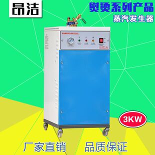 昂洁工厂供应江心蒸汽发生器3kw干洗店电加热小锅炉熨烫辅助设备