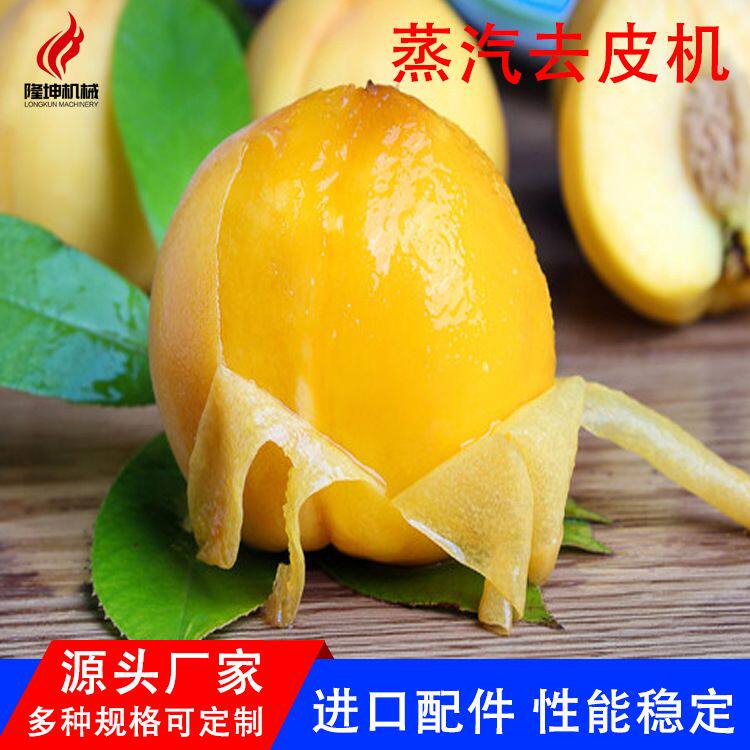 支持定制 全自动黄桃蒸汽去皮机 速冻桃子葡萄加工流水线去皮设备